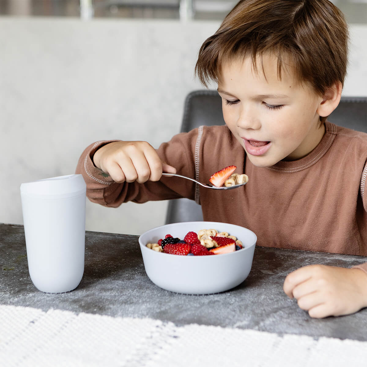 24oz Mealtime Bowl (2-Pack)